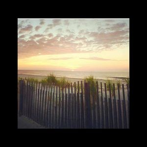 Meet your Posher, Sandy Toes